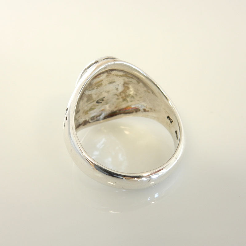 Silver Sleeping Beauty Turquoise Ring Size 9 - DeSantis