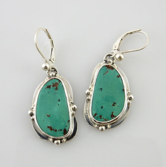 Sterling Silver Green Turquoise Dangle Earrings - DeSantis