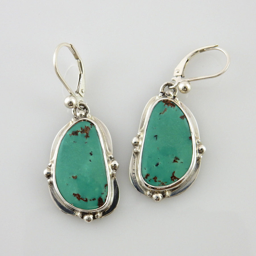 Sterling Silver Green Turquoise Dangle Earrings