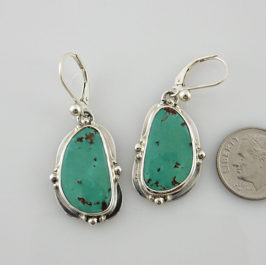 Sterling Silver Green Turquoise Dangle Earrings