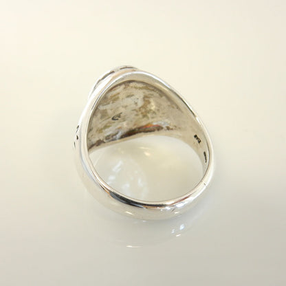 Silver Sleeping Beauty Turquoise Ring Size 9 - DeSantis
