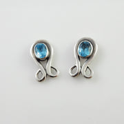 Sterling Silver Blue Topaz Earrings - DeSantis