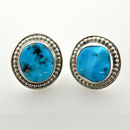 Sterling Silver Blue Turquoise Post Earrings - DeSantis