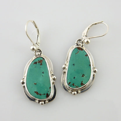 Sterling Silver Green Turquoise Dangle Earrings - DeSantis