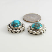 Sterling Silver Persian Turquoise Post Earrings - DeSantis